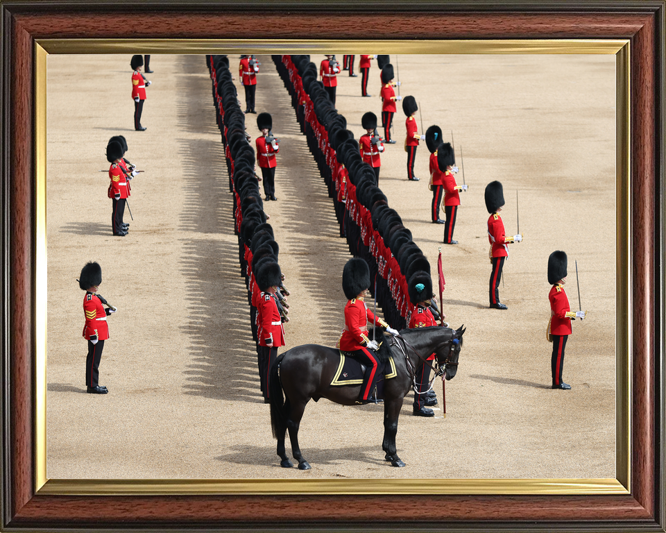 British Army Grenadier Guards Trooping the Colour 2026 Photo Print - Posters, Prints, & Visual Artwork - by Hampshire Prints (image 9 of 9)