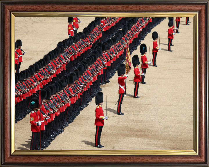 British Army Grenadier Guards Trooping the Colour Jun 2026 Photo Print - Posters, Prints, & Visual Artwork - by Hampshire Prints (image 9 of 9)