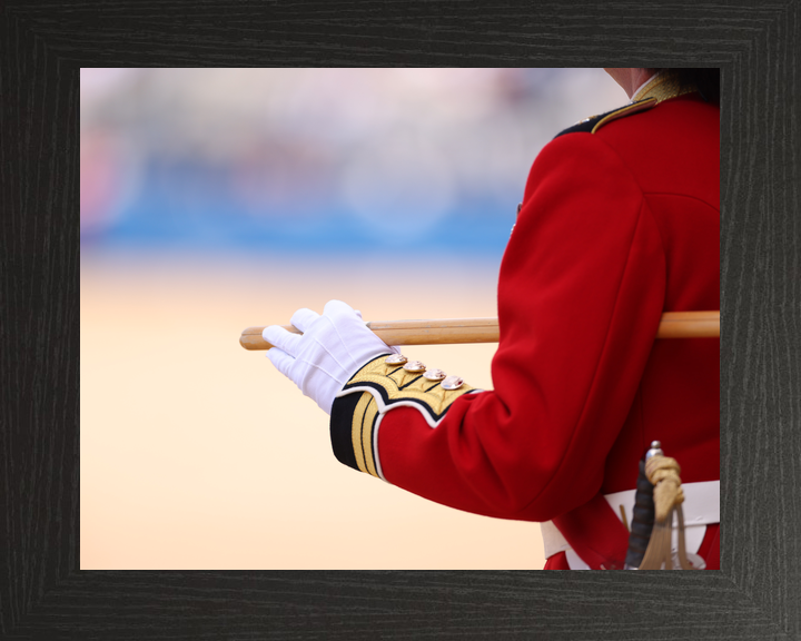 British Army Guardsman with Pace stick 2026 Photo Print - Posters, Prints, & Visual Artwork - by Hampshire Prints (image 3 of 9)