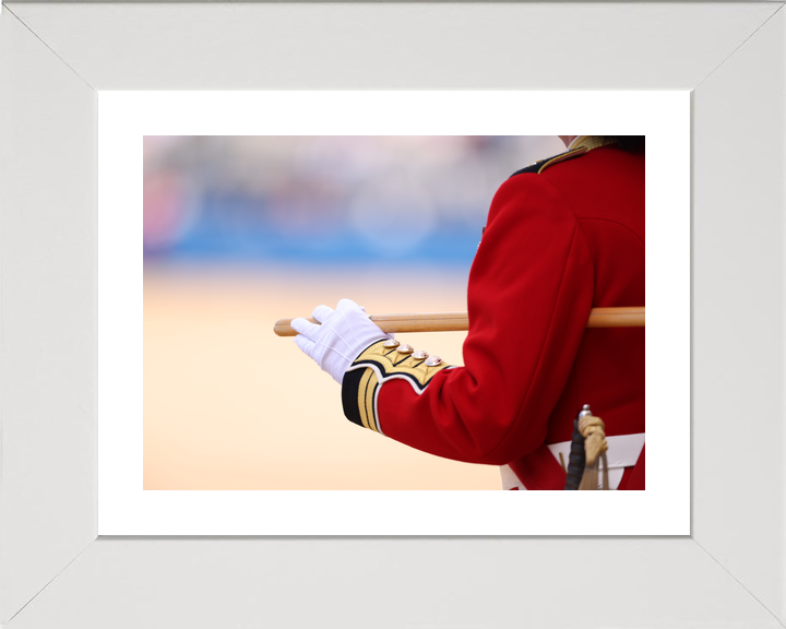British Army Guardsman with Pace stick 2026 Photo Print - Posters, Prints, & Visual Artwork - by Hampshire Prints (image 4 of 9)