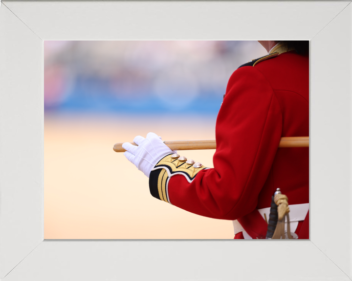 British Army Guardsman with Pace stick 2026 Photo Print - Posters, Prints, & Visual Artwork - by Hampshire Prints (image 5 of 9)