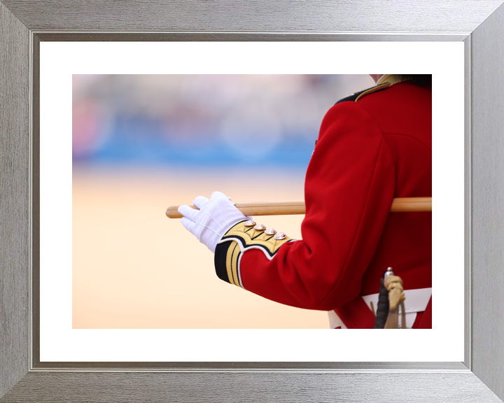 British Army Guardsman with Pace stick 2026 Photo Print - Posters, Prints, & Visual Artwork - by Hampshire Prints (image 6 of 9)