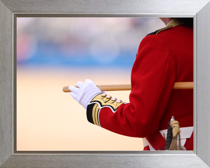 British Army Guardsman with Pace stick 2026 Photo Print - Posters, Prints, & Visual Artwork - by Hampshire Prints (image 7 of 9)