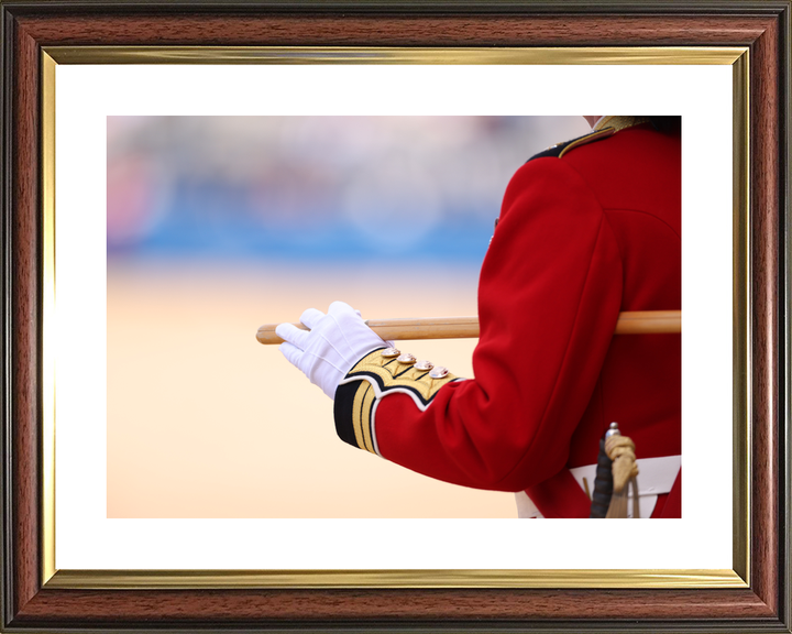 British Army Guardsman with Pace stick 2026 Photo Print - Posters, Prints, & Visual Artwork - by Hampshire Prints (image 8 of 9)