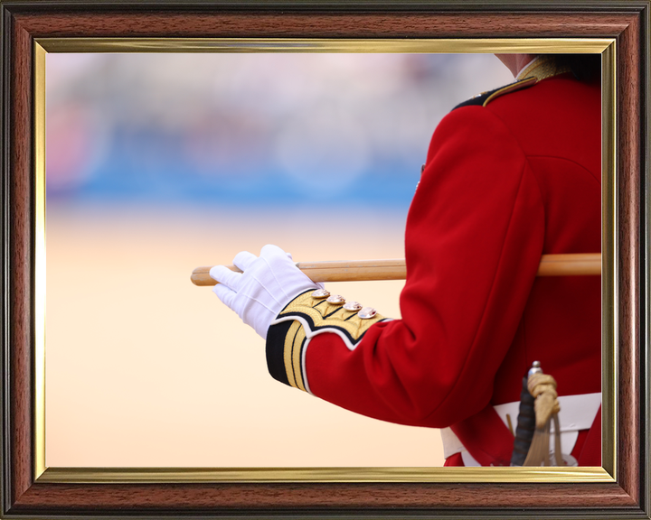 British Army Guardsman with Pace stick 2026 Photo Print - Posters, Prints, & Visual Artwork - by Hampshire Prints (image 9 of 9)