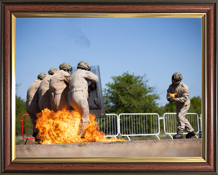 British Army Public Order Instructors Course 2026 Photo Print - Posters, Prints, & Visual Artwork - by Hampshire Prints (image 9 of 9)