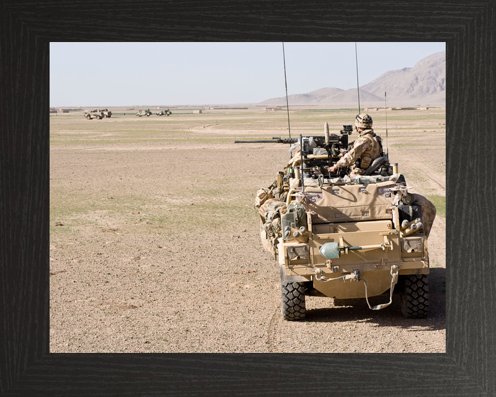 3 Commando Brigade Royal Marines Jackal Fibonacci February 2009