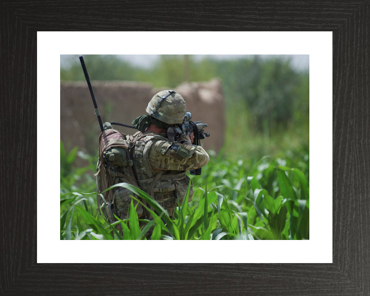 42 Commando Royal Marine Aims in Cornfield Helmand 2011