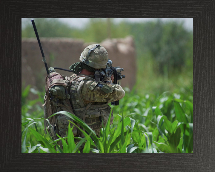 42 Commando Royal Marine Aims in Cornfield Helmand 2011