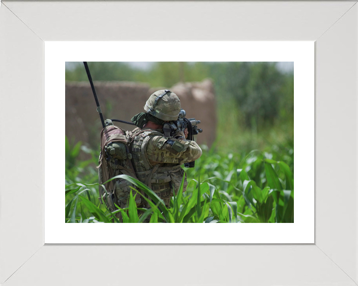 42 Commando Royal Marine Aims in Cornfield Helmand 2011