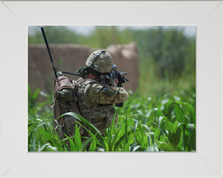 42 Commando Royal Marine Aims in Cornfield Helmand 2011