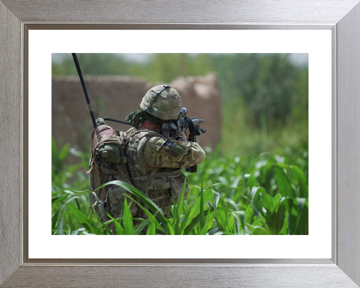 42 Commando Royal Marine Aims in Cornfield Helmand 2011