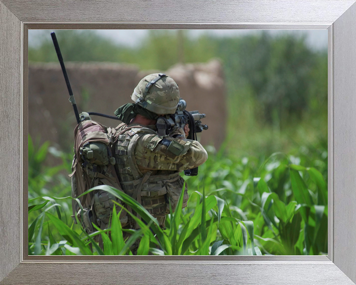 42 Commando Royal Marine Aims in Cornfield Helmand 2011
