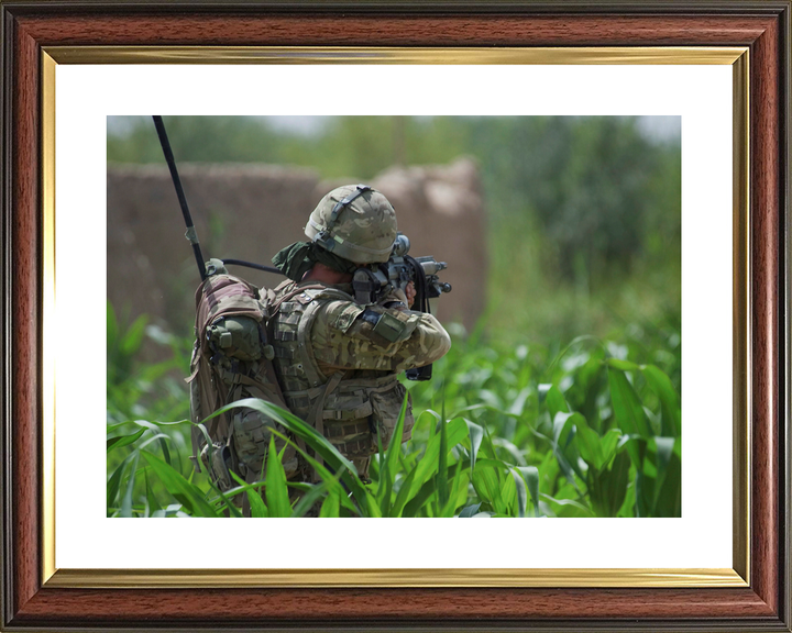 42 Commando Royal Marine Aims in Cornfield Helmand 2011