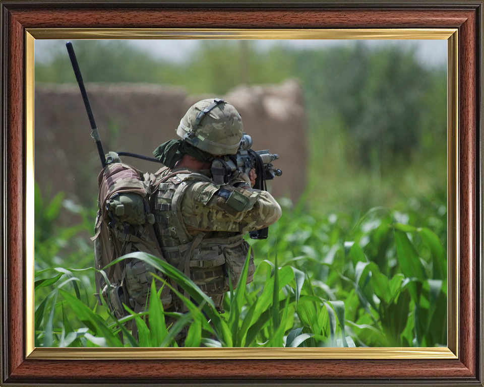 42 Commando Royal Marine Aims in Cornfield Helmand 2011