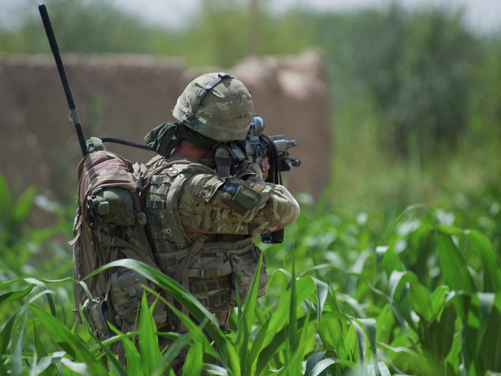 42 Commando Royal Marine Aims in Cornfield Helmand 2011