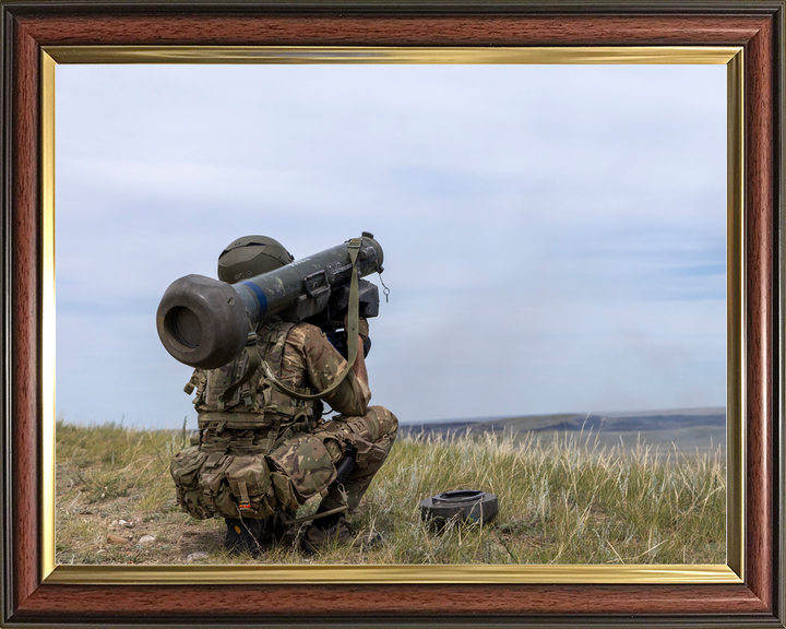 British Army 2 PARA Javelin Anti-Tank Missile Canada July 2026