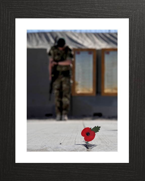 40 Commando Royal Marine Remembrance Poppy November 2012