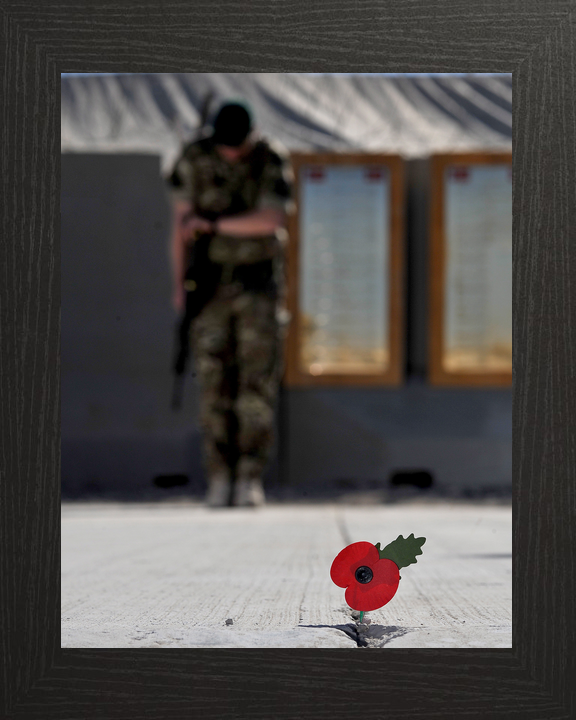 40 Commando Royal Marine Remembrance Poppy November 2012