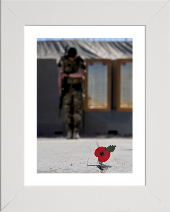40 Commando Royal Marine Remembrance Poppy November 2012