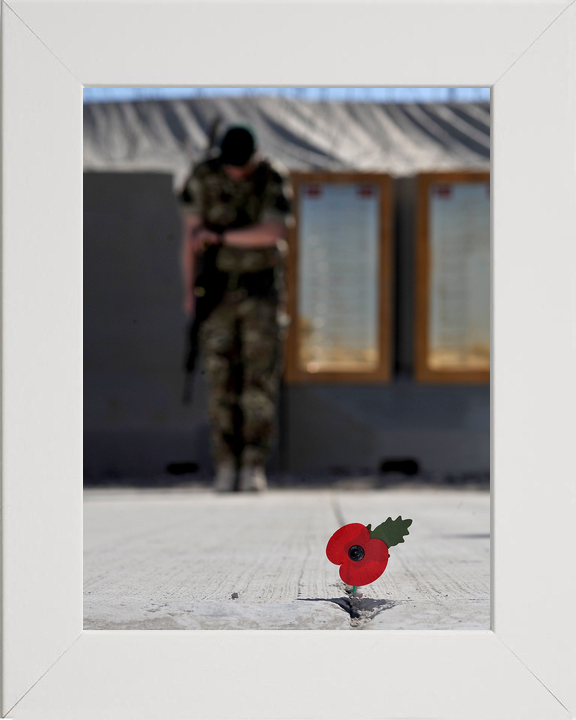 40 Commando Royal Marine Remembrance Poppy November 2012