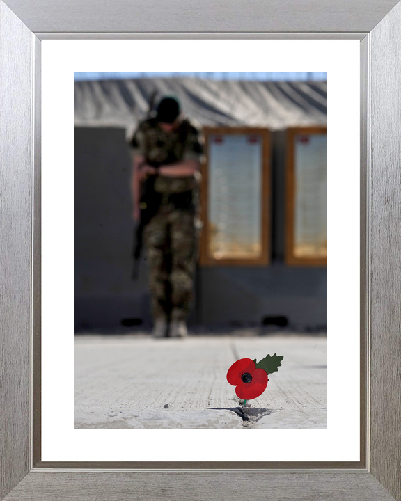40 Commando Royal Marine Remembrance Poppy November 2012