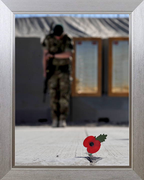 40 Commando Royal Marine Remembrance Poppy November 2012