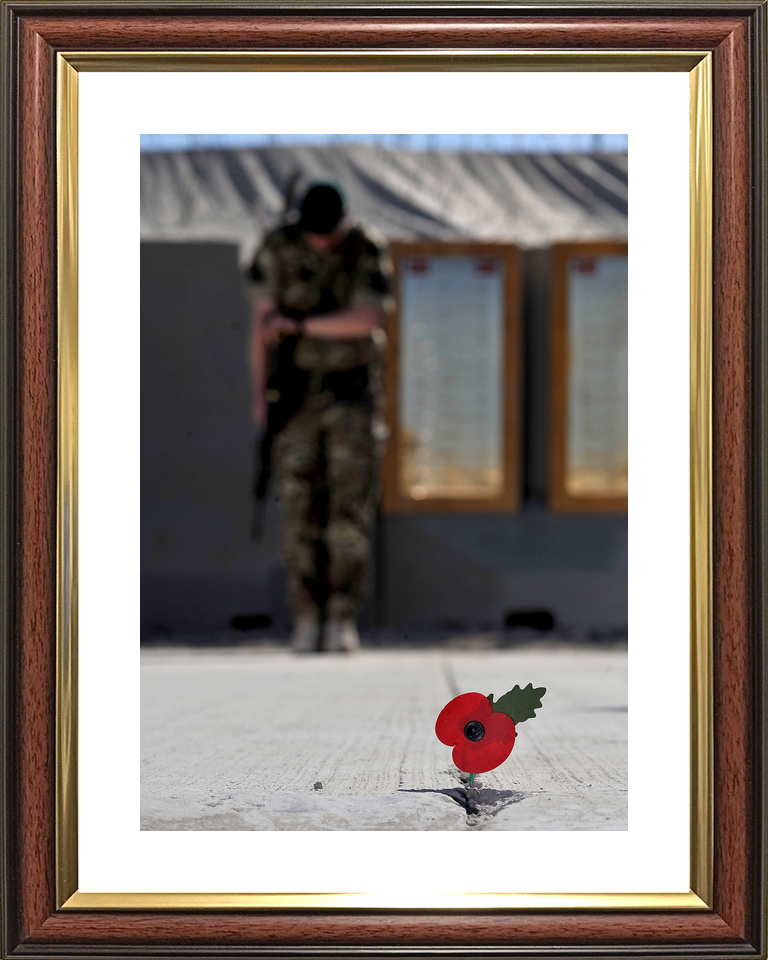 40 Commando Royal Marine Remembrance Poppy November 2012