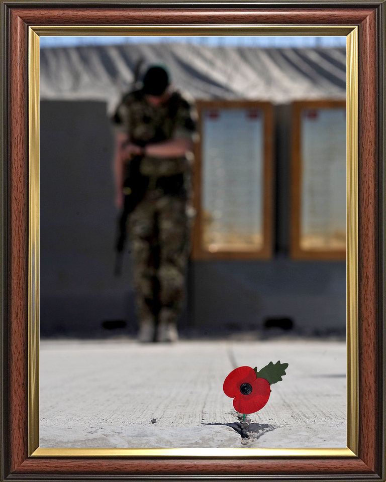 40 Commando Royal Marine Remembrance Poppy November 2012