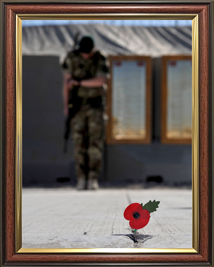 40 Commando Royal Marine Remembrance Poppy November 2012