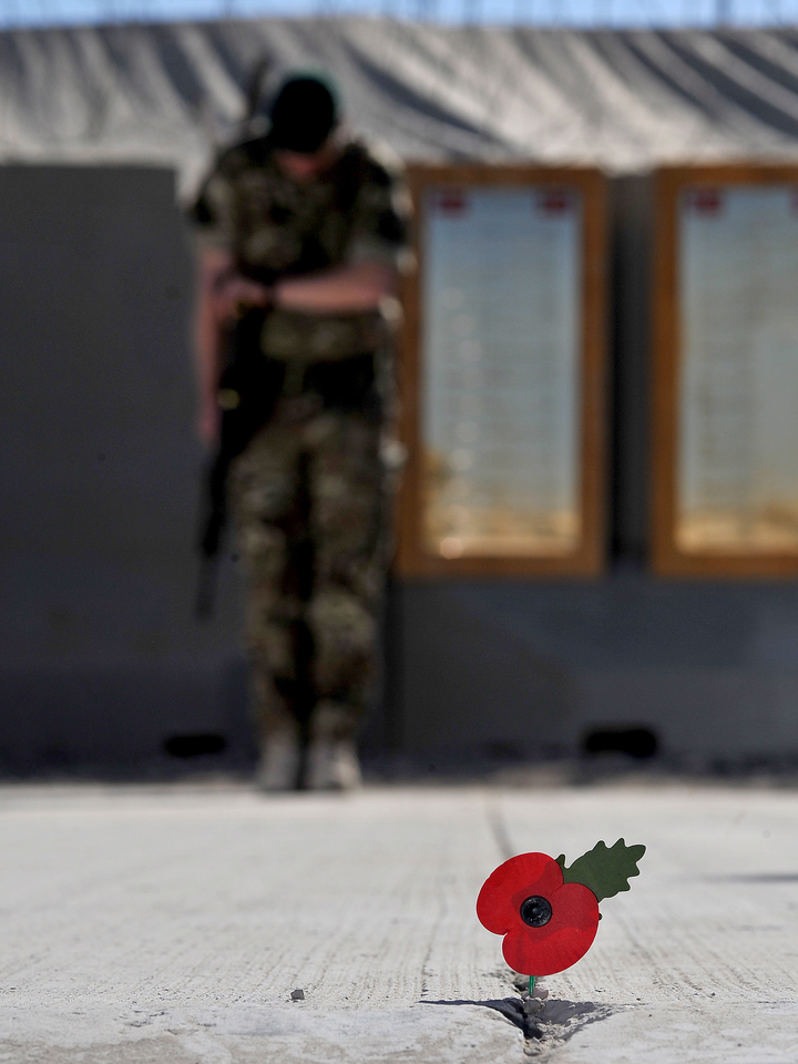 40 Commando Royal Marine Remembrance Poppy November 2012