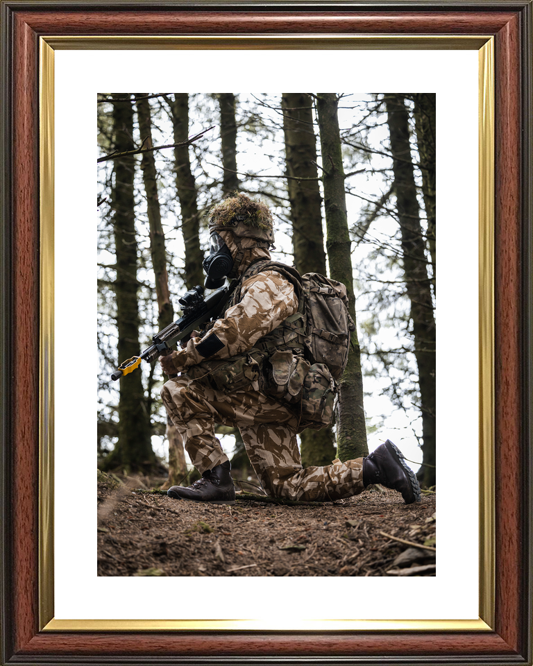 British Army Soldier CBRN Training Portrait 2026