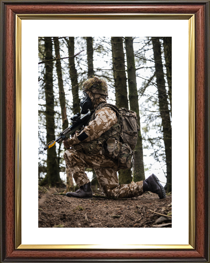 British Army Soldier CBRN Training Portrait 2026