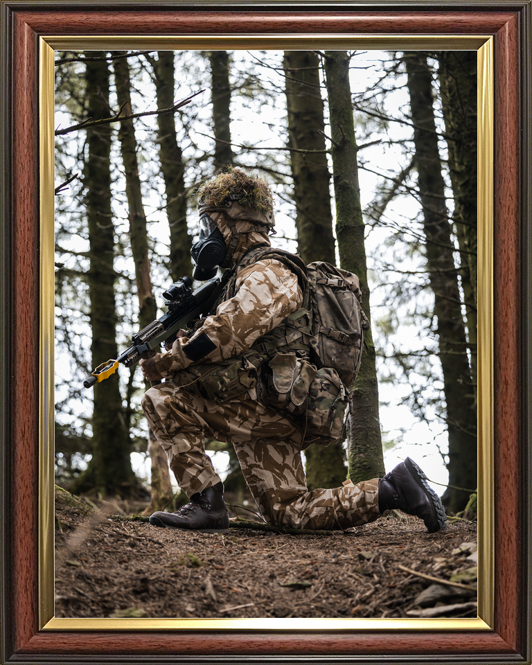 British Army Soldier CBRN Training Portrait 2026