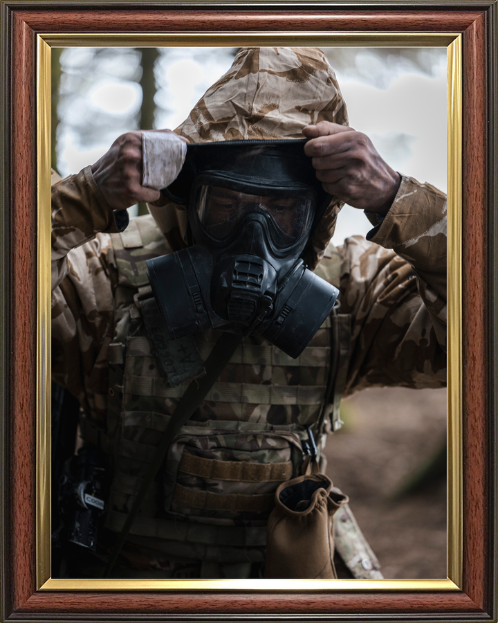 British Army 222 Signal Squadron CBRN Hood Up July 2026