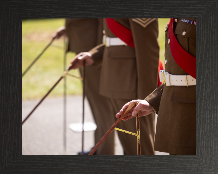 British Army Grenadier Guards Pacesticking April 2026