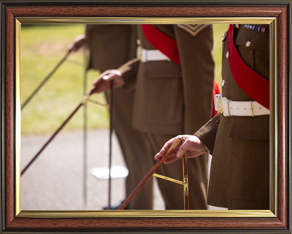 British Army Grenadier Guards Pacesticking April 2026