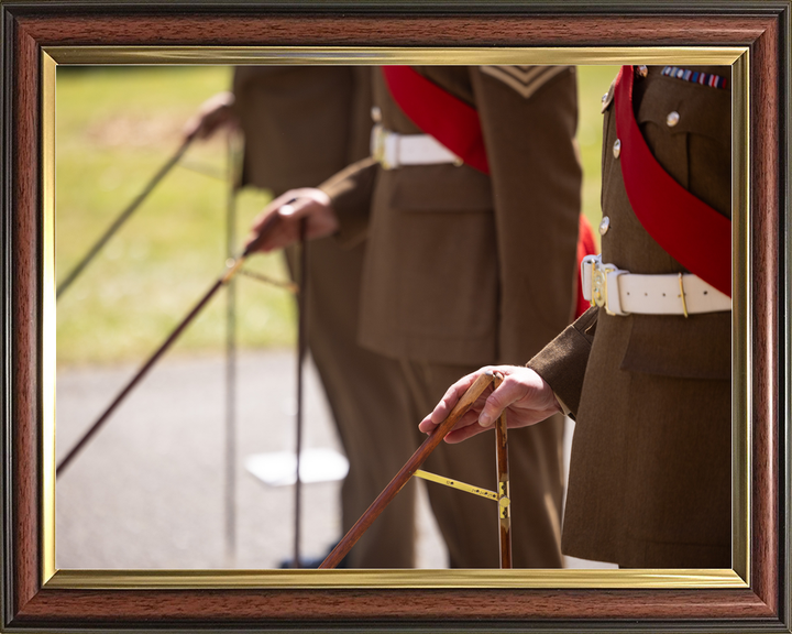 British Army Grenadier Guards Pacesticking April 2026