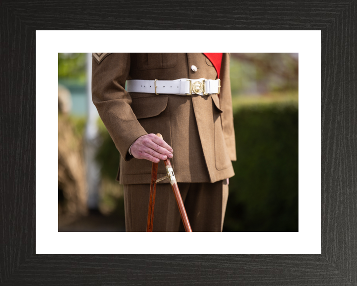 British Army Grenadier Guards Pace Stick Detail April 2026