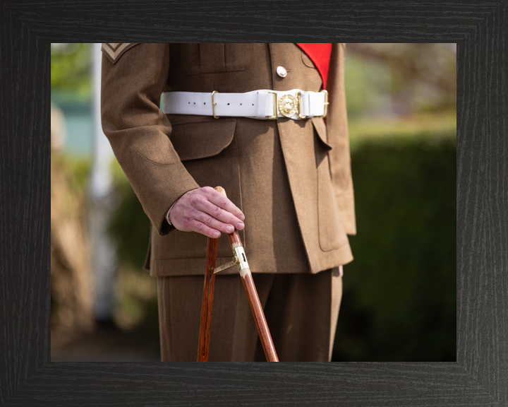 British Army Grenadier Guards Pace Stick Detail April 2026