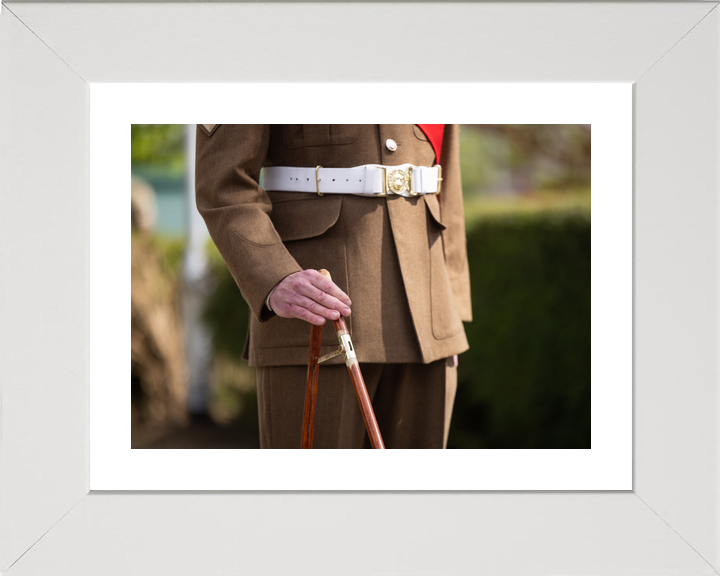 British Army Grenadier Guards Pace Stick Detail April 2026