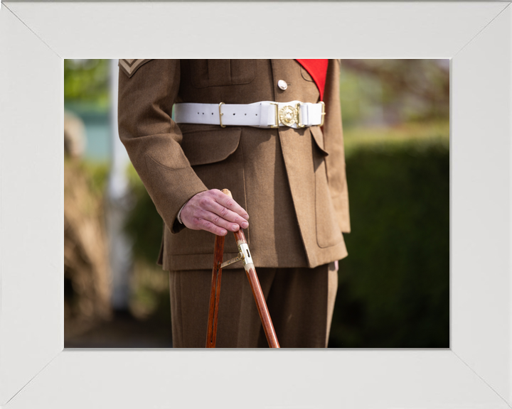 British Army Grenadier Guards Pace Stick Detail April 2026