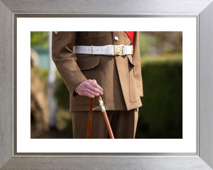 British Army Grenadier Guards Pace Stick Detail April 2026