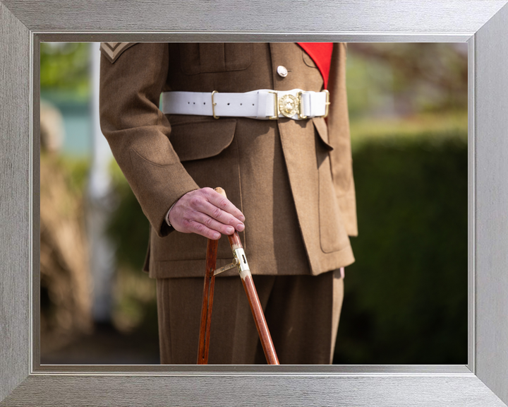 British Army Grenadier Guards Pace Stick Detail April 2026