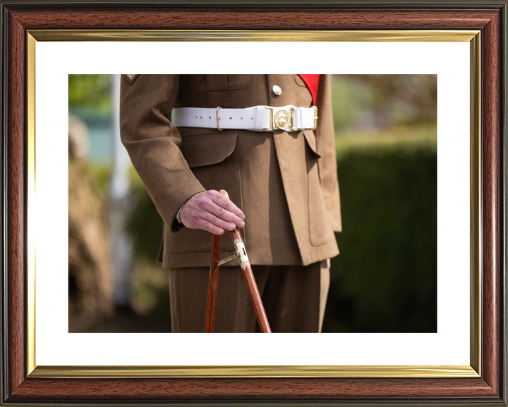 British Army Grenadier Guards Pace Stick Detail April 2026