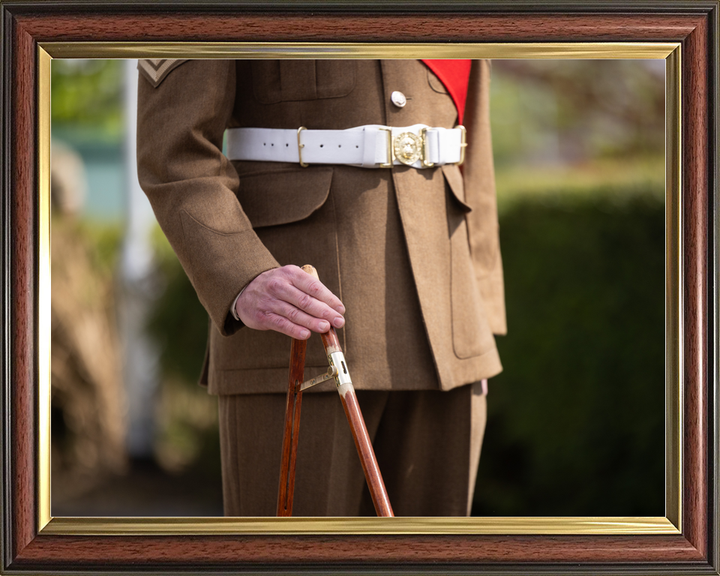 British Army Grenadier Guards Pace Stick Detail April 2026