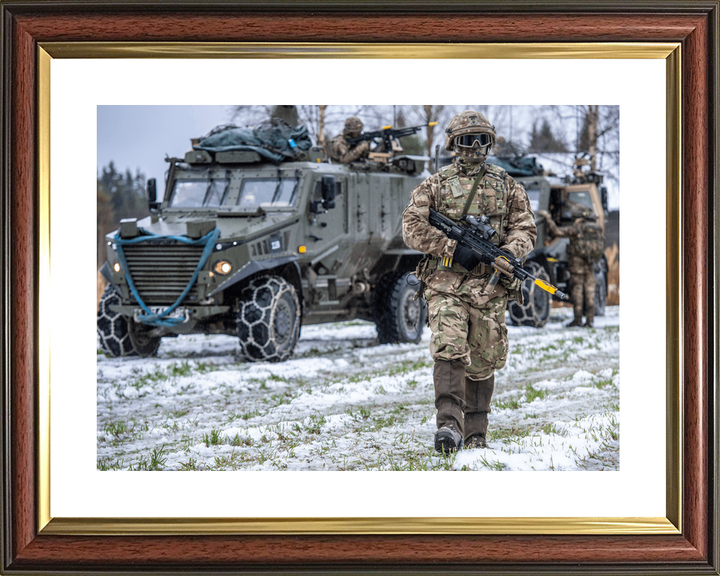 British Army Royal Irish Foxhound Snow Norway October 2018