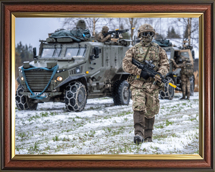 British Army Royal Irish Foxhound Snow Norway October 2018