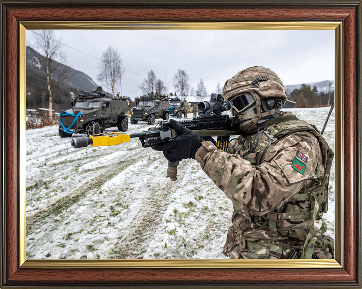 British Army Royal Irish Soldier Aims Norway October 2018