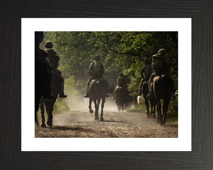 British Army Household Cavalry Horses Longmoor June 2026